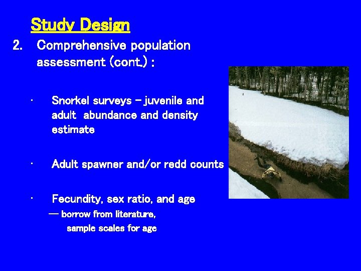 Study Design 2. Comprehensive population assessment (cont. ) : • Snorkel surveys – juvenile