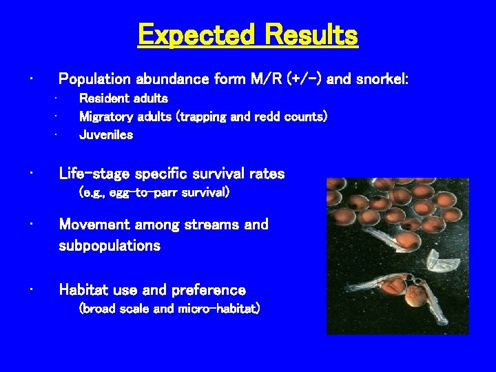 Expected Results • Population abundance form M/R (+/-) and snorkel: • • Resident adults