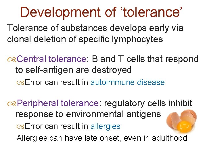 Development of ‘tolerance’ Tolerance of substances develops early via clonal deletion of specific lymphocytes