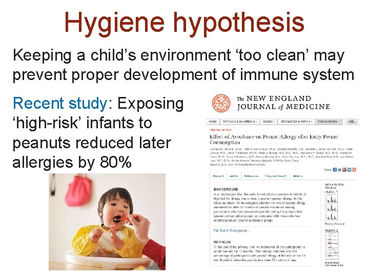 Hygiene hypothesis Keeping a child’s environment ‘too clean’ may prevent proper development of immune