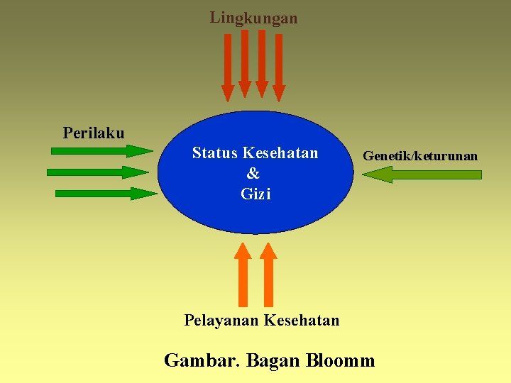 Lingkungan Perilaku Status Kesehatan & Gizi Genetik/keturunan Pelayanan Kesehatan Gambar. Bagan Bloomm 