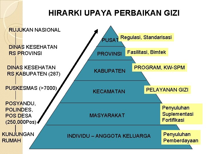 HIRARKI UPAYA PERBAIKAN GIZI RUJUKAN NASIONAL PUSAT DINAS KESEHATAN RS PROVINSI DINAS KESEHATAN RS