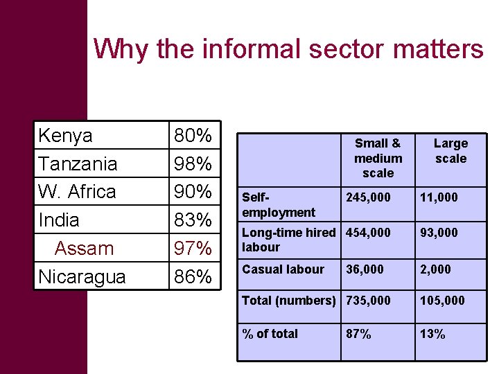 Why the informal sector matters Kenya Tanzania W. Africa India Assam Nicaragua 80% 98%