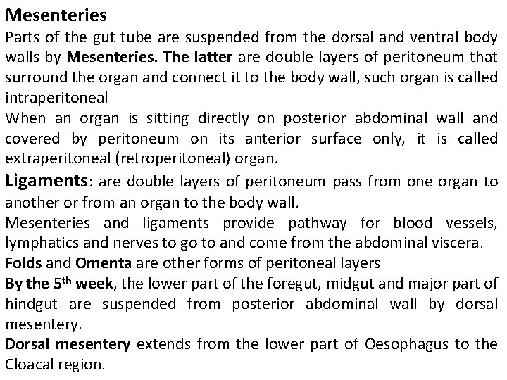 Mesenteries Parts of the gut tube are suspended from the dorsal and ventral body