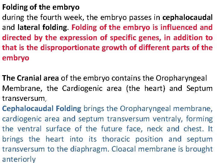 Folding of the embryo during the fourth week, the embryo passes in cephalocaudal and