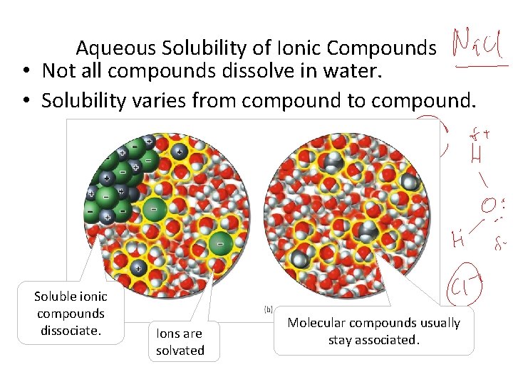 Aqueous Solubility of Ionic Compounds • Not all compounds dissolve in water. • Solubility
