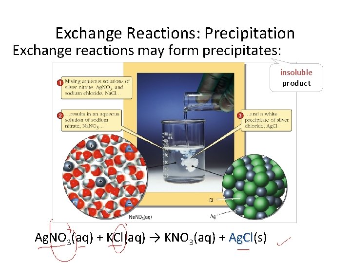 Exchange Reactions: Precipitation Exchange reactions may form precipitates: insoluble product Ag. NO 3(aq) +