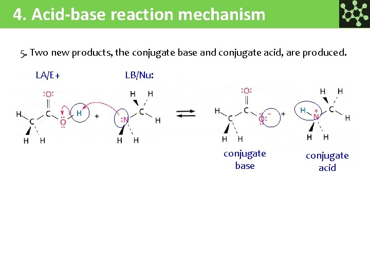 4. Acid-base reaction mechanism 5. Two new products, the conjugate base and conjugate acid,