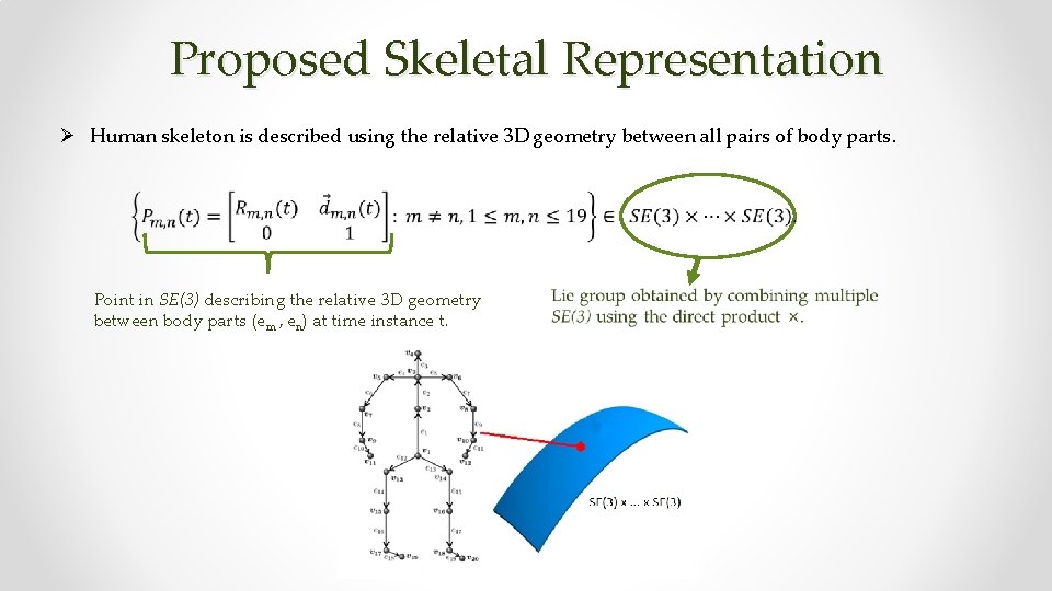 Proposed Skeletal Representation Ø Human skeleton is described using the relative 3 D geometry
