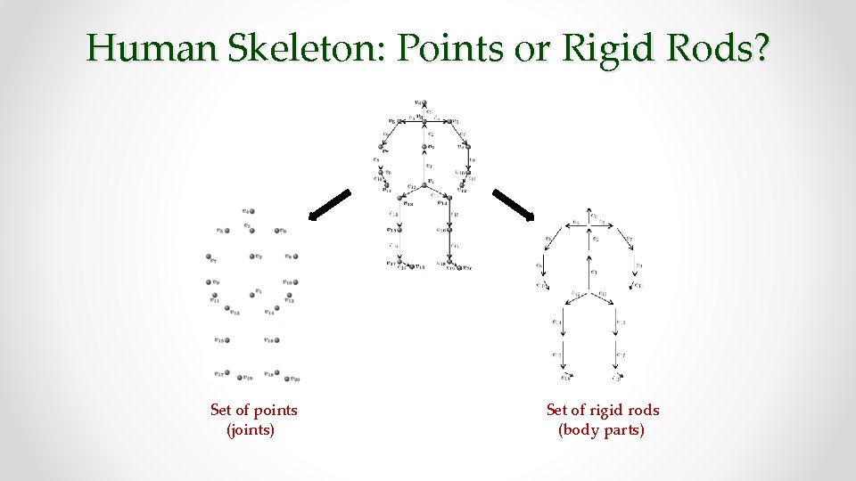 Human Skeleton: Points or Rigid Rods? Set of points (joints) Set of rigid rods