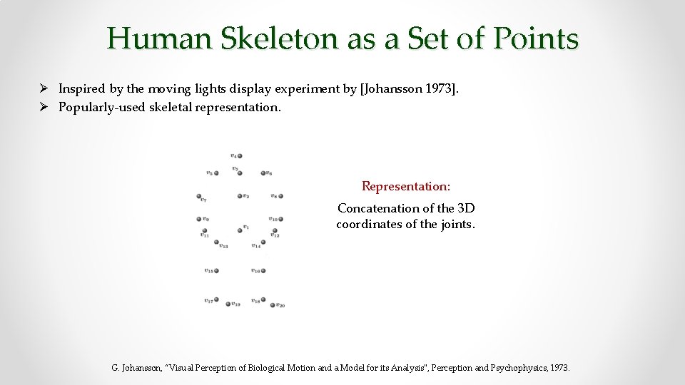 Human Skeleton as a Set of Points Ø Inspired by the moving lights display