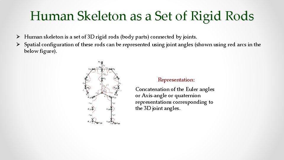 Human Skeleton as a Set of Rigid Rods Ø Human skeleton is a set