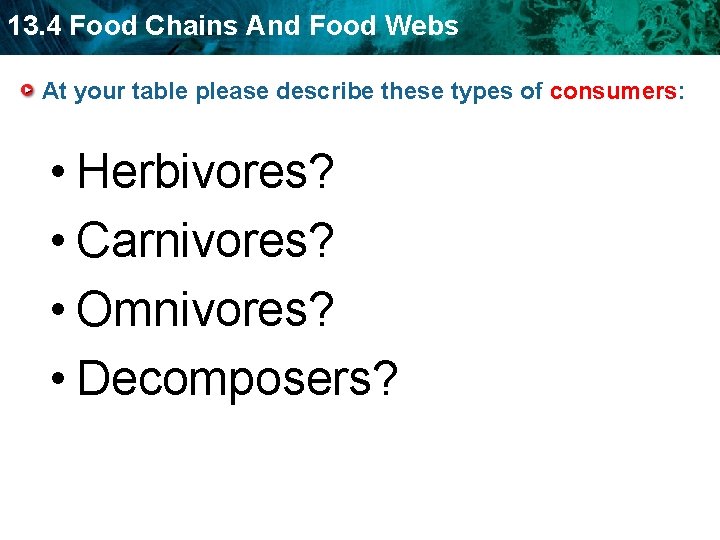 13. 4 Food Chains And Food Webs At your table please describe these types
