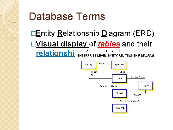 Database Terms �Entity Relationship Diagram (ERD) �Visual display of tables and their relationships for