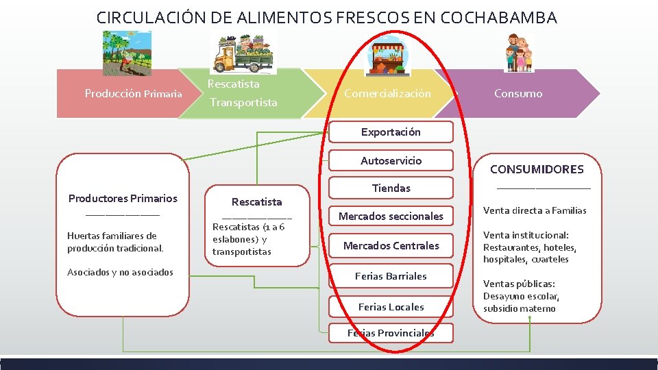 CIRCULACIÓN DE ALIMENTOS FRESCOS EN COCHABAMBA Producción Primaria Rescatista Transportista I n d u