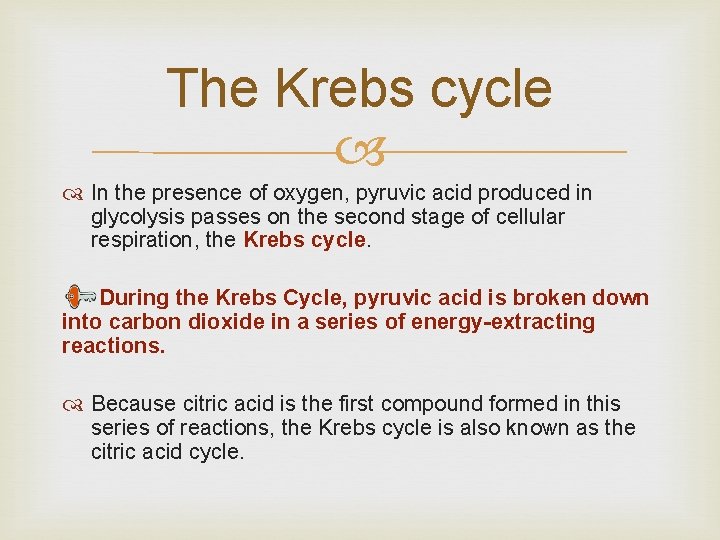Chapter 9 Cellular Respiration 9 2 The Krebs