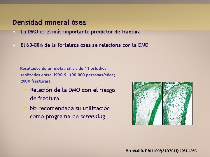 Densidad mineral ósea • La DMO es el más importante predictor de fractura •