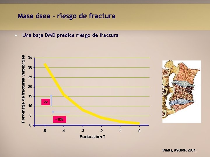 Masa ósea – riesgo de fractura Porcentaje de fracturas vertebrales • Una baja DMO