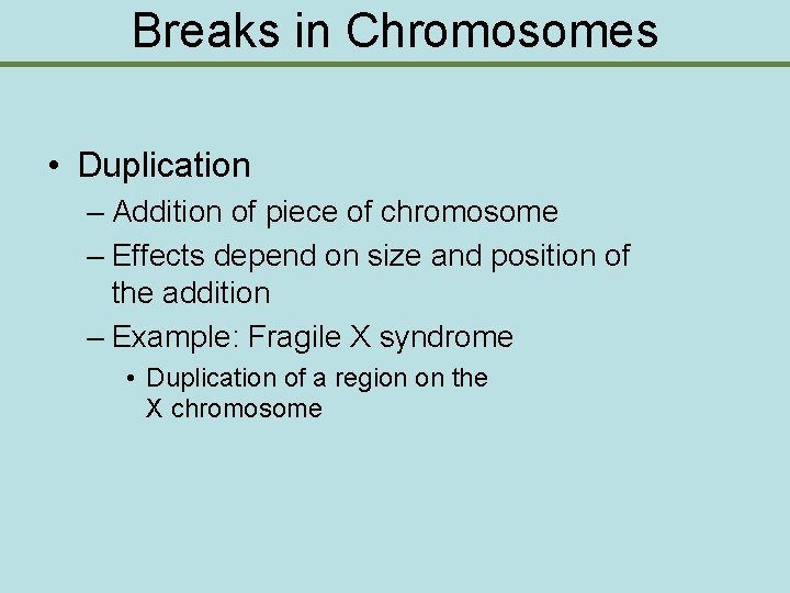 Breaks in Chromosomes • Duplication – Addition of piece of chromosome – Effects depend