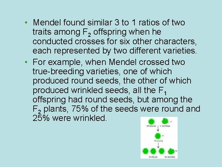  • Mendel found similar 3 to 1 ratios of two traits among F