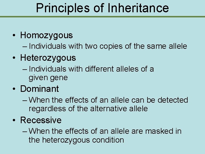 Principles of Inheritance • Homozygous – Individuals with two copies of the same allele