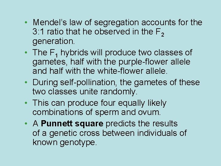  • Mendel’s law of segregation accounts for the 3: 1 ratio that he