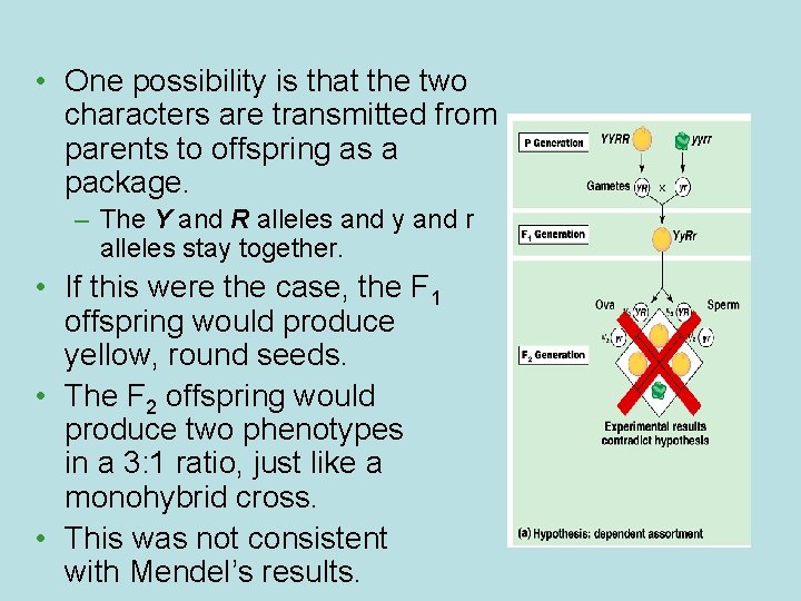  • One possibility is that the two characters are transmitted from parents to