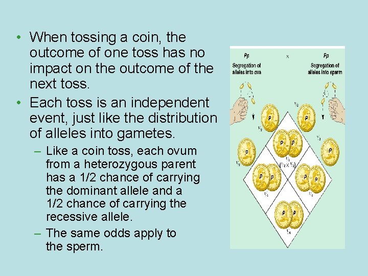  • When tossing a coin, the outcome of one toss has no impact