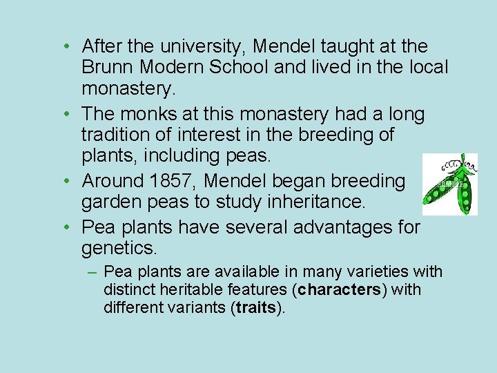  • After the university, Mendel taught at the Brunn Modern School and lived