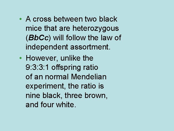  • A cross between two black mice that are heterozygous (Bb. Cc) will