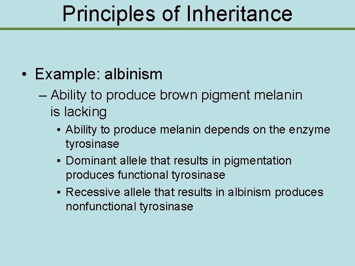 Principles of Inheritance • Example: albinism – Ability to produce brown pigment melanin is