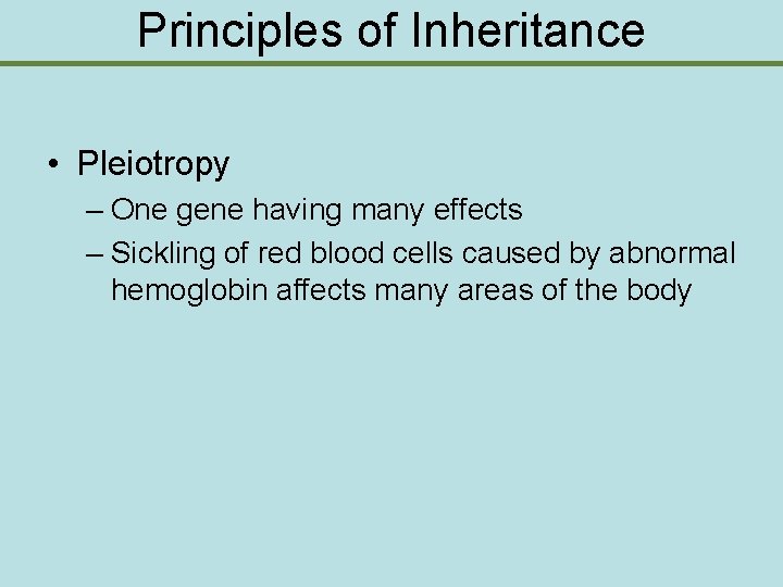 Principles of Inheritance • Pleiotropy – One gene having many effects – Sickling of