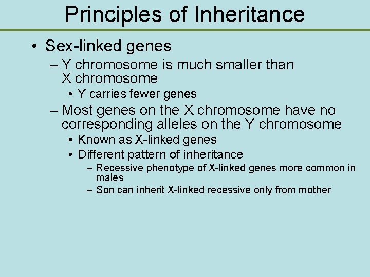 Principles of Inheritance • Sex-linked genes – Y chromosome is much smaller than X