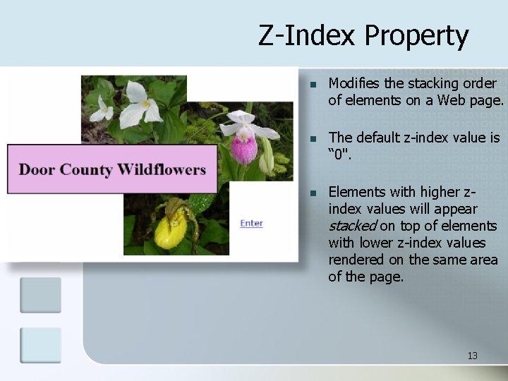 Z-Index Property n Modifies the stacking order of elements on a Web page. n