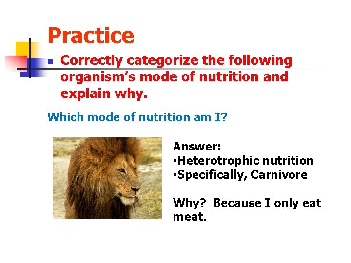 Practice n Correctly categorize the following organism’s mode of nutrition and explain why. Which