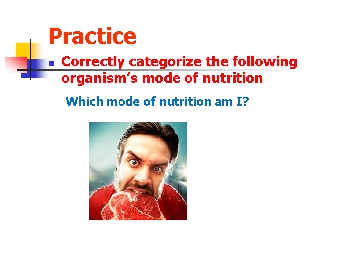 Practice n Correctly categorize the following organism’s mode of nutrition Which mode of nutrition