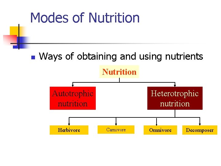 Modes of Nutrition n Ways of obtaining and using nutrients Nutrition Autotrophic nutrition Herbivore