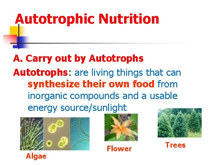Autotrophic Nutrition A. Carry out by Autotrophs: are living things that can synthesize their