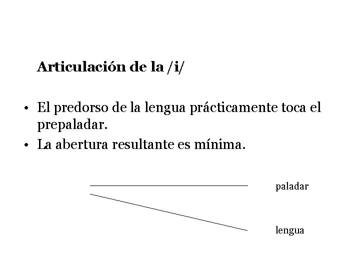 Articulación de la /i/ • El predorso de la lengua prácticamente toca el prepaladar.