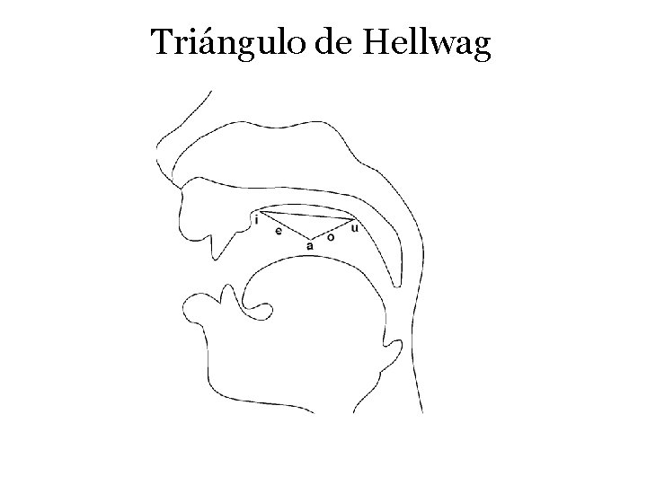 Triángulo de Hellwag 