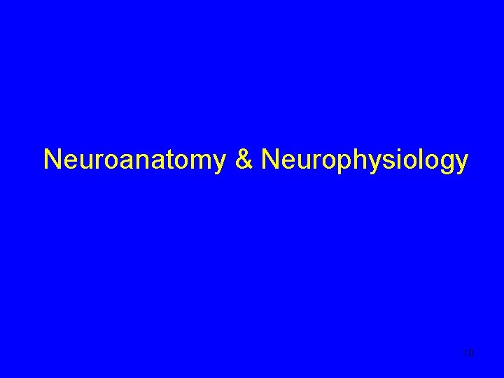 Neuroanatomy & Neurophysiology 10 