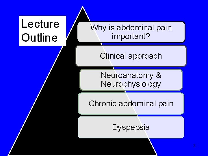 Lecture Outline Why is abdominal pain important? Clinical approach Neuroanatomy & Neurophysiology Chronic abdominal