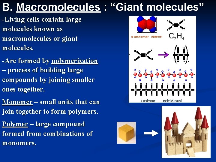 B. Macromolecules : “Giant molecules” -Living cells contain large molecules known as macromolecules or
