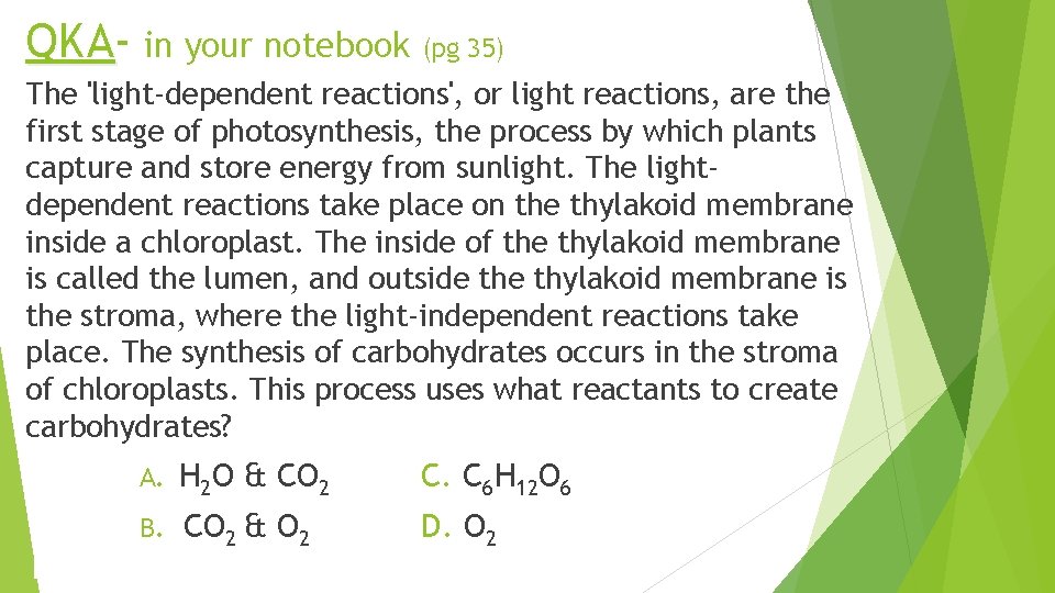QKAQKA in your notebook (pg 35) The 'light-dependent reactions', or light reactions, are the