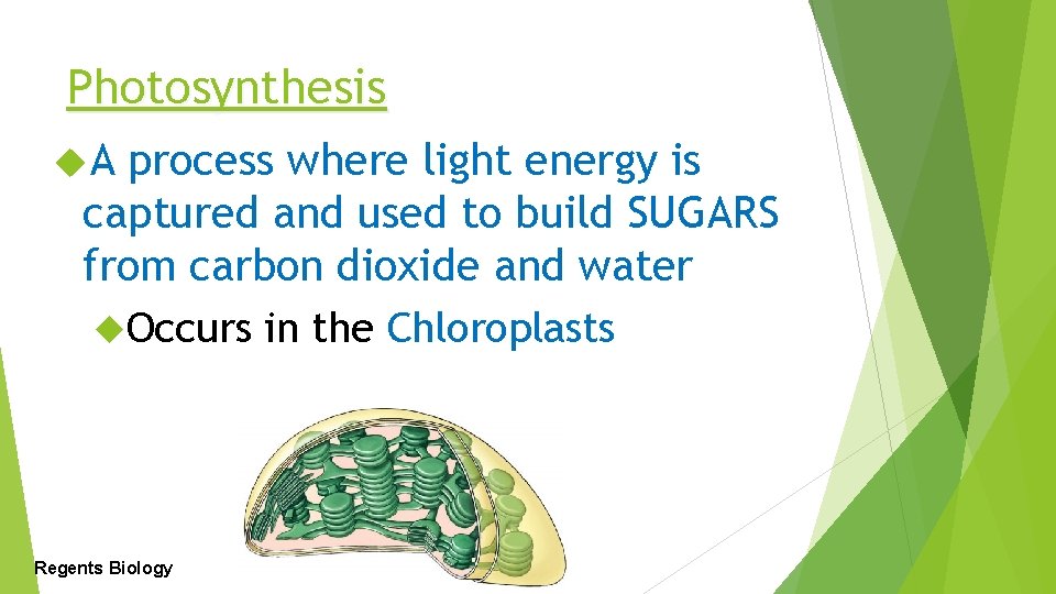 Photosynthesis A process where light energy is captured and used to build SUGARS from