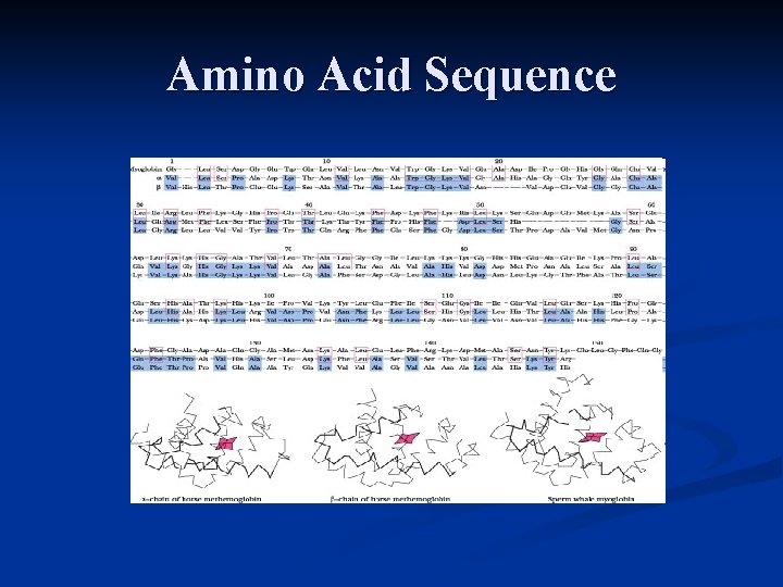 Amino Acid Sequence  Amino Acid Sequence