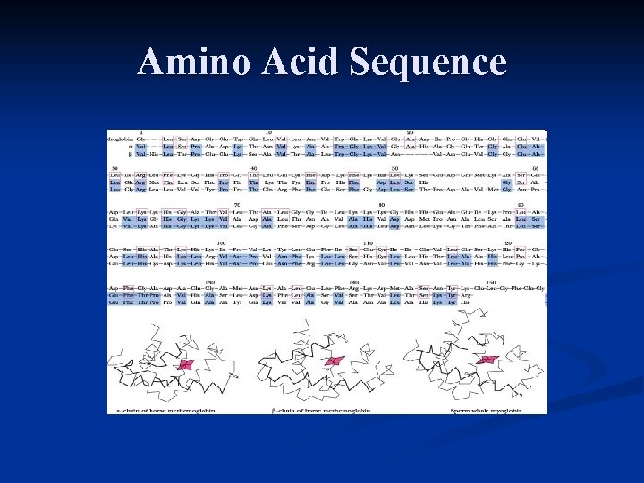 Amino Acid Sequence 