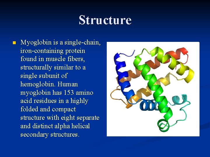 Structure n Myoglobin is a single-chain, iron-containing protein found in muscle fibers, structurally similar