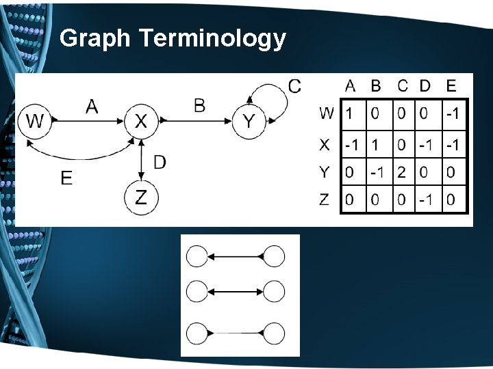 Graph Terminology 
