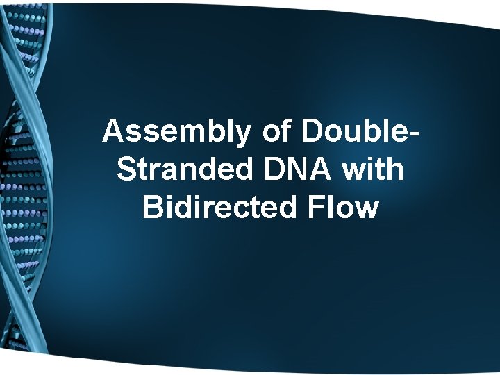 Assembly of Double. Stranded DNA with Bidirected Flow 